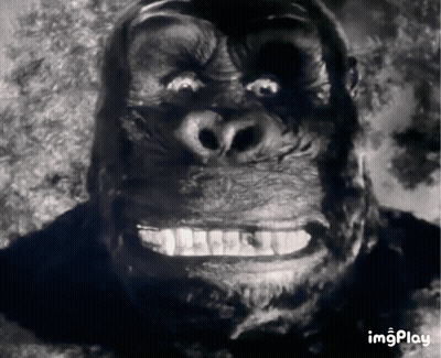 A Close Up Of A Gorilla 'S Face With The Words Imgplay Above It GIF