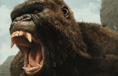 A Close Up Of A Gorilla 'S Mouth With Its Mouth Open GIF