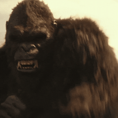 A Close Up Of A Gorilla With A Very Angry Look On Its Face GIF