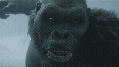 A Close Up Of A Gorilla With Its Mouth Open And Teeth Visible GIF