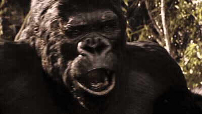 A Close Up Of A Gorilla With Its Mouth Open And Trees In The Background GIF
