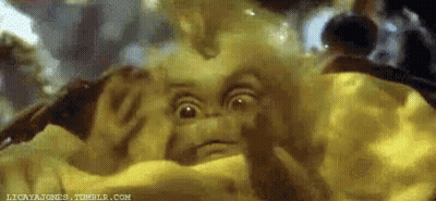 A Close Up Of A Gremlins Doll Laying In A Blanket . GIF
