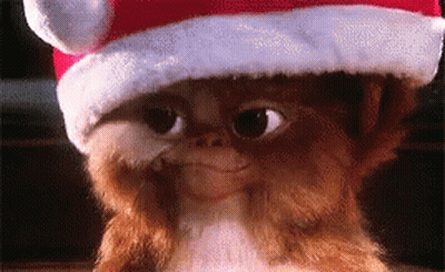 A Close Up Of A Gremlins Doll Wearing A Santa Hat . GIF