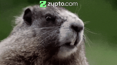 A Close Up Of A Ground Squirrel With The Website Zupto.com On The Bottom GIF