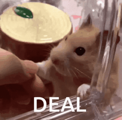 A Close Up Of A Hamster In A Cage With The Word Deal Behind It GIF