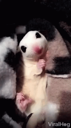 A Close Up Of A Hamster Laying On A Blanket GIF