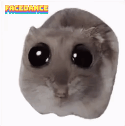 A Close Up Of A Hamster 'S Face With The Words Facedance Written Above It GIF