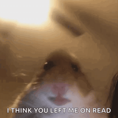 A Close Up Of A Hamster 'S Face With The Words `` I Think You Left Me On Read '' Written Above It . GIF