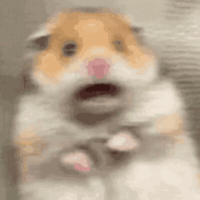 A Close Up Of A Hamster With Its Mouth Open And A Pink Nose . GIF