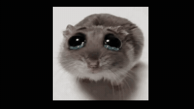 A Close Up Of A Hamster With Tears Running Down Its Face GIF