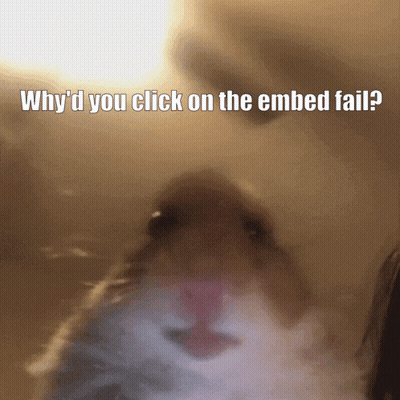 A Close Up Of A Hamster With The Caption " Why D You Click On The Embed Fail " GIF