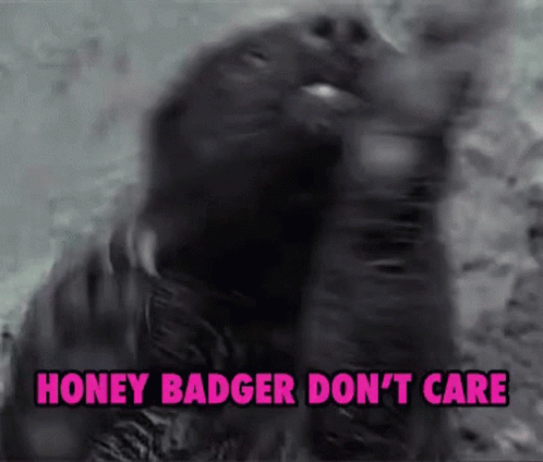 A Close Up Of A Honey Badger With The Words Honey Badger Don 'T Care Written Below It GIF