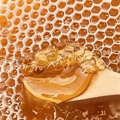 A Close Up Of A Honeycomb With A Spoon In It And A Bee On It . GIF