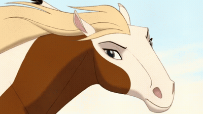 A Close Up Of A Horse 'S Face With A Blue Sky Behind It GIF