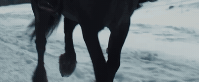 A Close Up Of A Horse 'S Legs Standing In The Snow GIF
