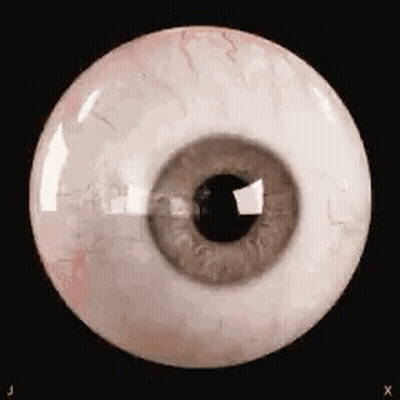A Close Up Of A Human Eye On A Black Background GIF