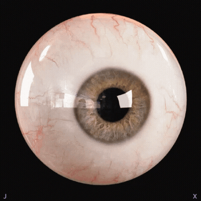 A Close Up Of A Human Eye With The Letters J And X On The Bottom GIF