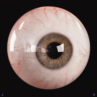 A Close Up Of A Human Eye With The Letters J And X On The Bottom GIF