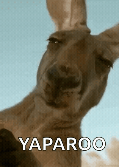 A Close Up Of A Kangaroo 'S Face With The Words Yaparoo Written On It . GIF