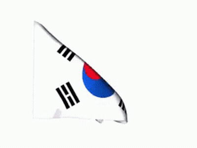 A Close Up Of A Korean Flag Waving In The Wind GIF
