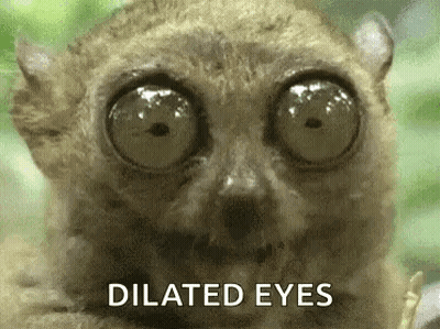 A Close Up Of A Lemur 'S Eyes With The Words `` Dilated Eyes '' Written Below It . GIF