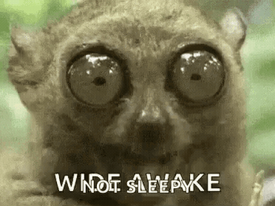 A Close Up Of A Lemur 'S Face With Big Eyes And The Words `` Wide Awake '' Written Above It . GIF