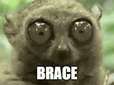 A Close Up Of A Lemur With Big Eyes And The Word Brace Written On Its Face . GIF
