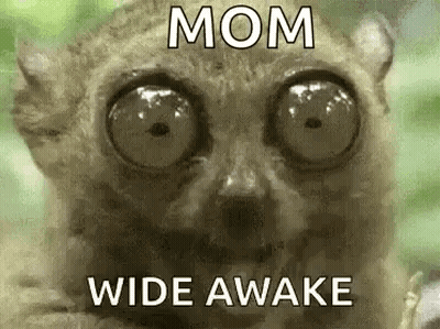 A Close Up Of A Lemur With Big Eyes And The Words `` Mom Wide Awake '' . GIF