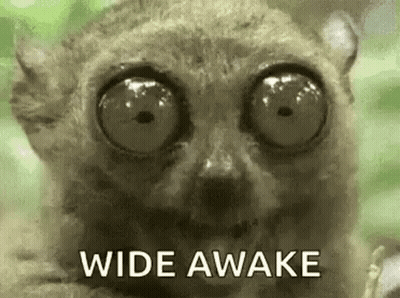 A Close Up Of A Lemur With Big Eyes And The Words `` Wide Awake '' Written On It . GIF