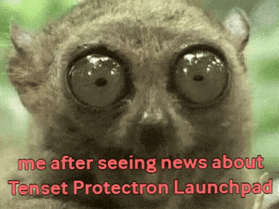 A Close Up Of A Lemur With The Words " Me After Seeing News About Tense Protection Launchpad " GIF