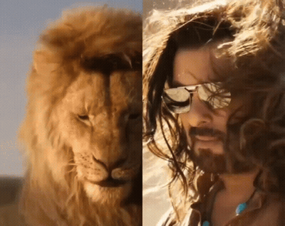 A Close Up Of A Lion And A Close Up Of A Man With Sunglasses GIF