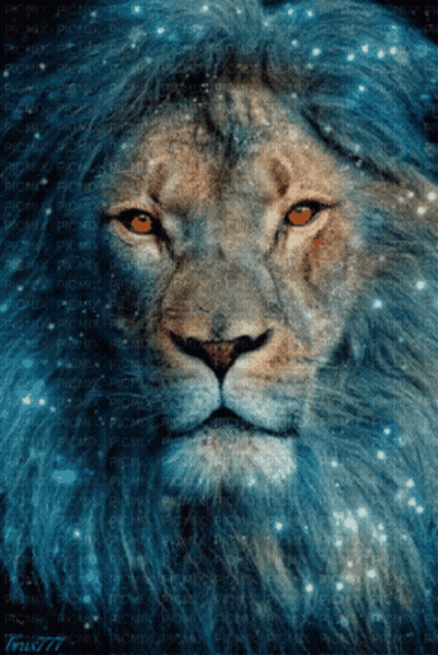 A Close Up Of A Lion 'S Face With A Blue Background And The Number 77 At The Bottom GIF
