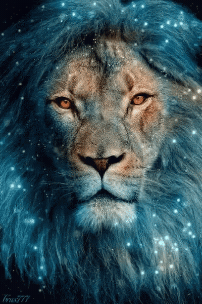 A Close Up Of A Lion 'S Face With A Blue Mane And Orange Eyes GIF