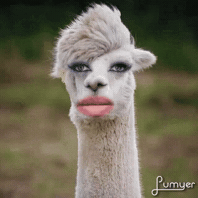 a close up of a llama with makeup on its face and plumyer written below it