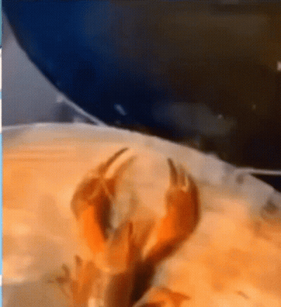 A Close Up Of A Lobster 'S Claws On A Blurred Background GIF