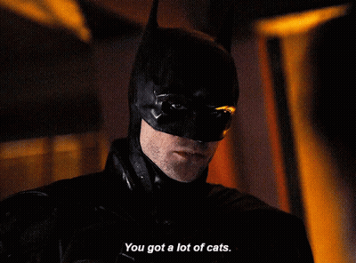 A Close Up Of A Man In A Batman Costume Saying " You Got A Lot Of Cats " GIF
