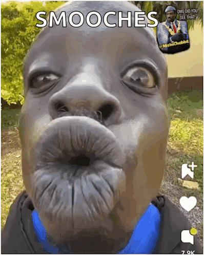 A Close Up Of A Man Making A Funny Face With Smooches Written On The Bottom GIF