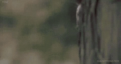 A Close Up Of A Man Peeking Out From Behind A Fence . GIF