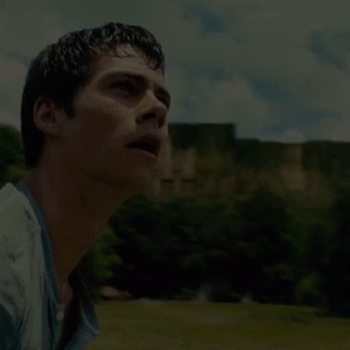A Close Up Of A Man 'S Face In A Field With Trees In The Background . GIF