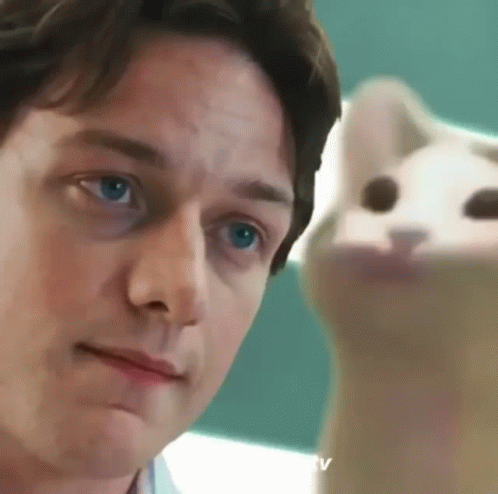 A Close Up Of A Man 'S Face Next To A Cat GIF