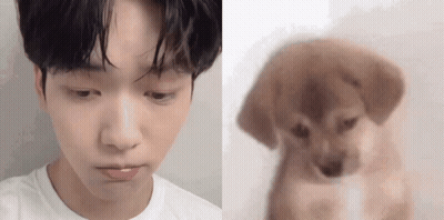 A Close Up Of A Man 'S Face Next To A Close Up Of A Dog GIF