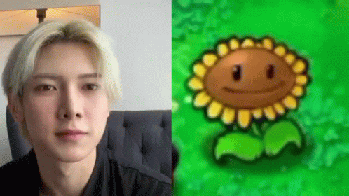 A Close Up Of A Man 'S Face Next To A Picture Of A Sunflower From Plants Vs Zombies . GIF