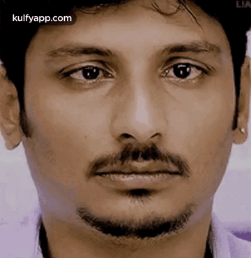 A Close Up Of A Man 'S Face With A Beard And Mustache Looking At The Camera . GIF