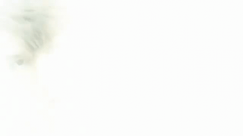 A Close Up Of A Man 'S Face With A White Shirt On . GIF