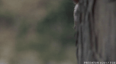A Close Up Of A Man 'S Face With The Word Predator On The Bottom GIF