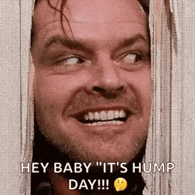 A Close Up Of A Man 'S Face With The Words `` Hey Baby It 'S Hump Day '' On It . GIF
