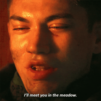 A Close Up Of A Man 'S Face With The Words " I 'Ll Meet You In The Meadow " Below It GIF