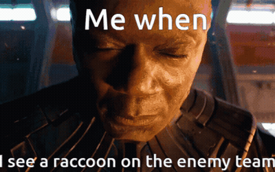 A Close Up Of A Man 'S Face With The Words Me When I See A Raccoon On The Enemy Team Below It GIF
