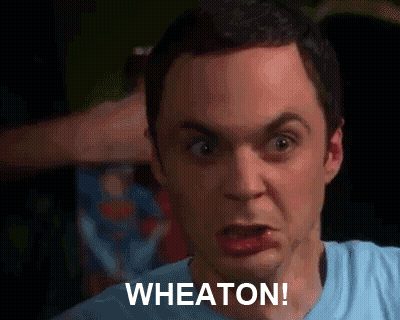 A Close Up Of A Man 'S Face With The Words Wheaton Written On It GIF