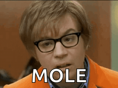 A Close Up Of A Man Wearing Glasses And An Orange Jacket That Says Mole GIF